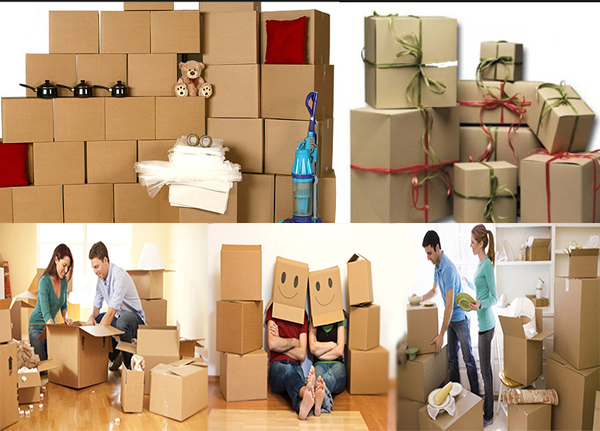 About Zodiac Packers Movers Profile